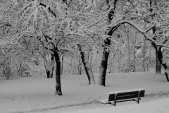 Zima v parku / Winter in the park