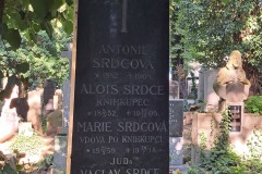 Hrob Aloise Srdce st. - knihkupec - detail